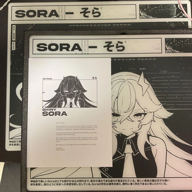 SKYPAD 3.0 404 error 『未使用品』（Skypad 3.0 XL SORA error 