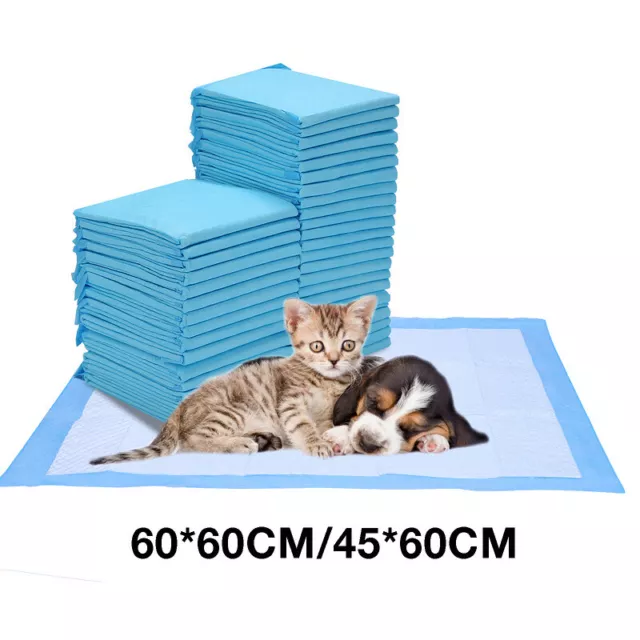 Documentos para cachorros almohadillas para perros 60x45cm/60x60cm almohadillas para cachorros documentos de entrenamiento