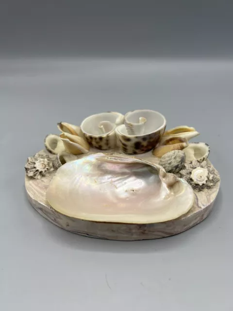 Vintage Real Seashell shell Jewelry Ring Trinket Vanity Dish beach ocean sea