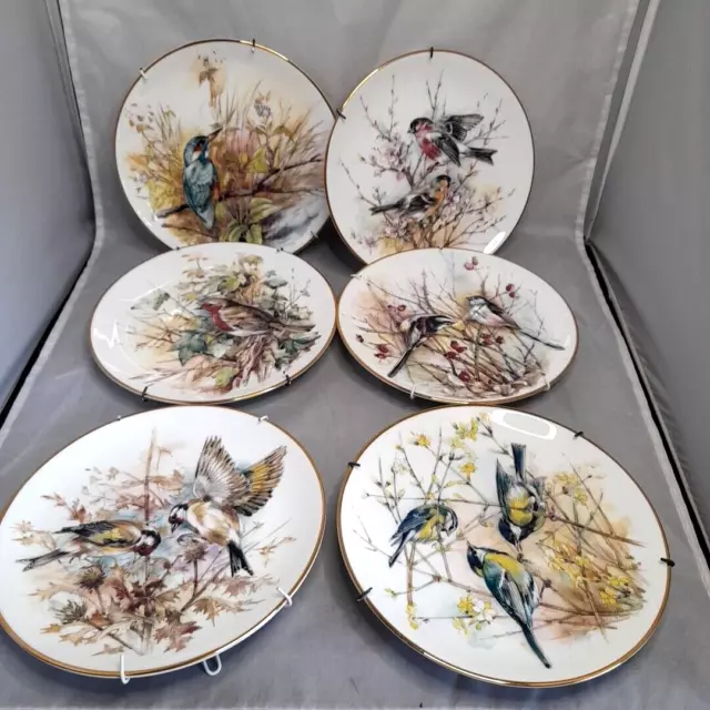 Set of 6 Connaught Collection of British Garden Birds Plates