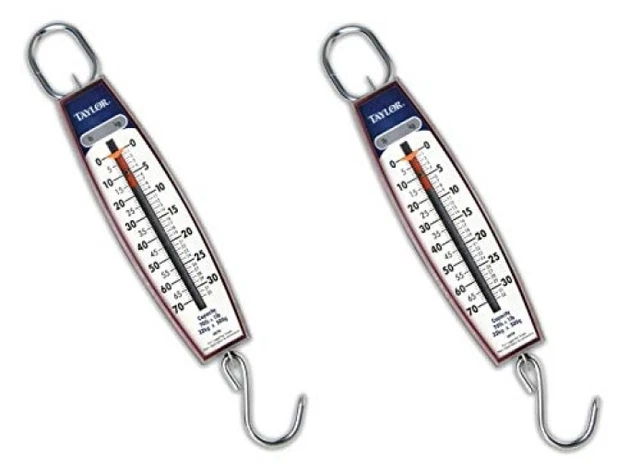 Taylor Precision Products Hanging Scale 70-Pound/32-Kilogram, 2 Pack