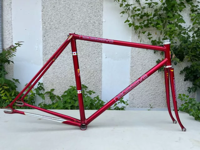 Nagasawa NJS Frame / practice frame / Racing / Keirin / Pista