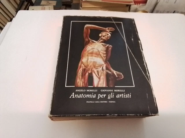 ANATOMIA PER GLI ARTISTI , A. e G. Morelli 8a ed. 1974, 11gn24 ANATOMIA PER GLI ARTISTI , A. e G. Morelli 8a ed. 1974, 11gn24