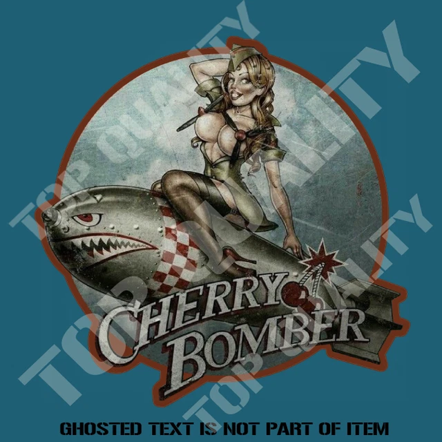 SEXY PINUP GIRL 6x9 Toolbox Decal Sticker USA Man Cave Mechanic Vintage Pin Up