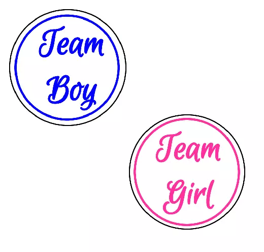 30 Gender Reveal Party Stickers Baby Shower "TEAM BOY TEAM GIRL" pink and blue