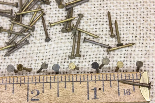 Old 1/2” Brass 50 Nails Escutcheon Tarnished Patina Small Flat Head Brad Vintage