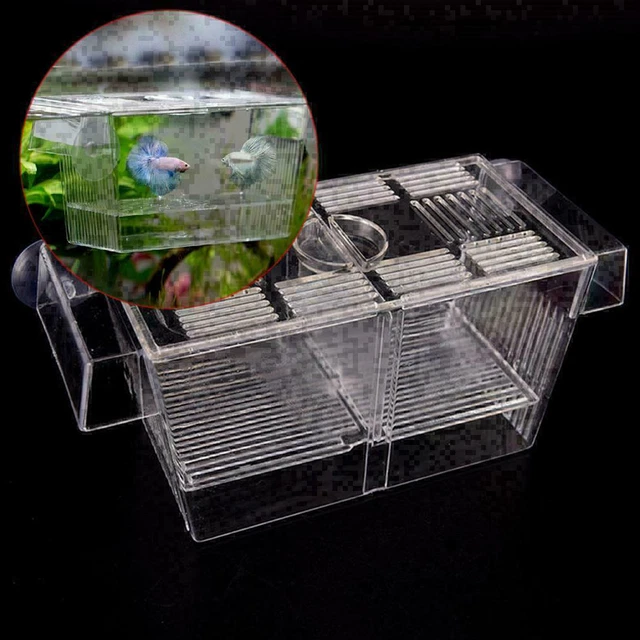 Aquarium Fish Tank Guppy Double Breeding Breeder Rearing K9W3 X6K0 L6C0 T2V HOT. 7