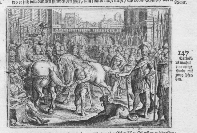 1700 Quintus Sertorius Horses Antique Antiquity Copperplate Merian