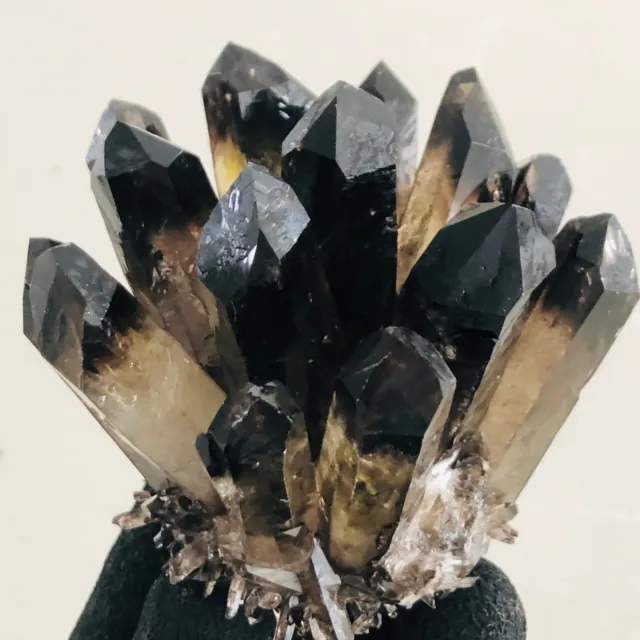 330g  New Find Black Phantom Quartz Crystal Cluster Mineral Specimen Healing