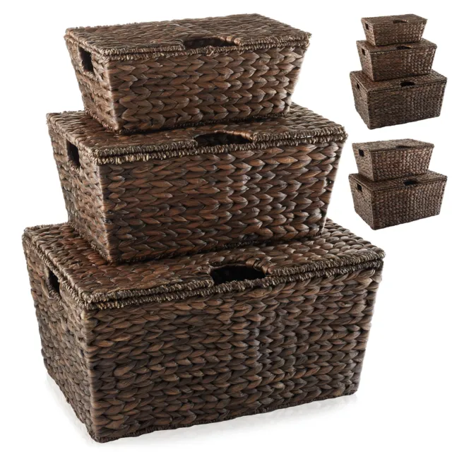 Water Hyacinth Storage Chests with Lids, Baskets w/ Tapered Bottoms