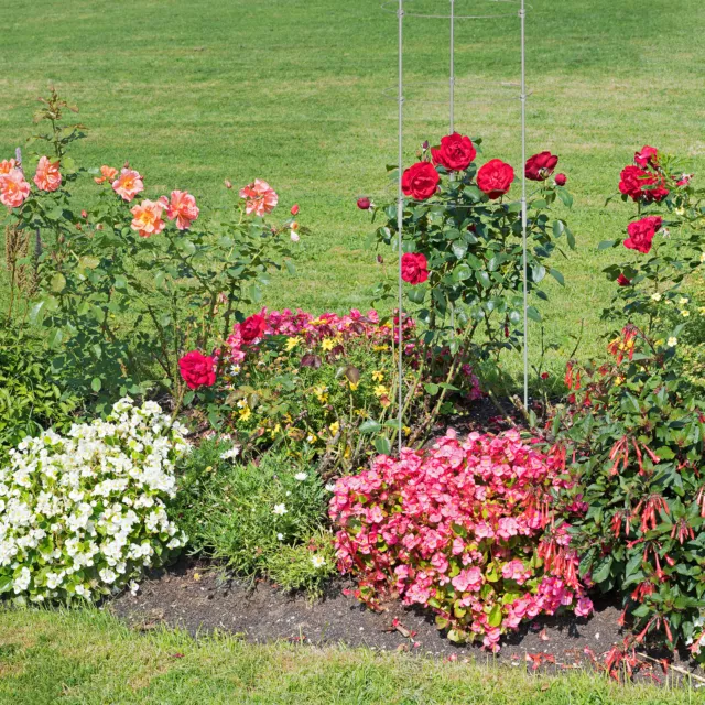 Rankhilfe 2er Set 120 cm 5