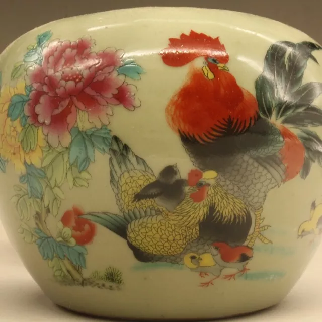 Chinese Boutique Famille Rose Porcelain Hand Painted The Rooster Family Pot