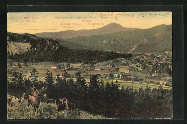 AK Jonsdorf, Ortsansicht mit Hirschen 1915