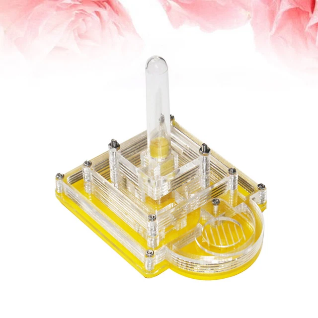 Ant Farm Castle Ants Farm Transparent Transparent Box Ant Box