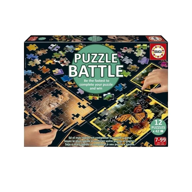 Educa Borras 500-Teile Puzzle – Totenkopf Eines Piraten | 48x34 Cm | Inkl. FixPuzzle-Kleber | Für Erwachsene & Kinder Ab 10 Jahren