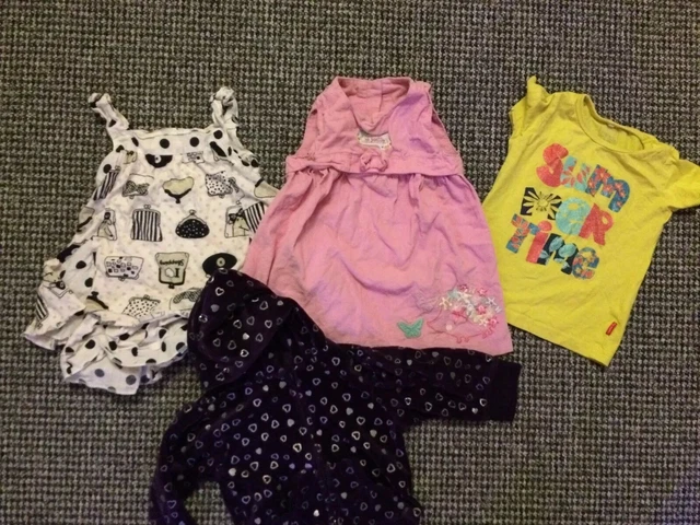 Girls Bundle Of Clothes, 9-12 Months, T- Shirt, Dresses, Hoody, Next