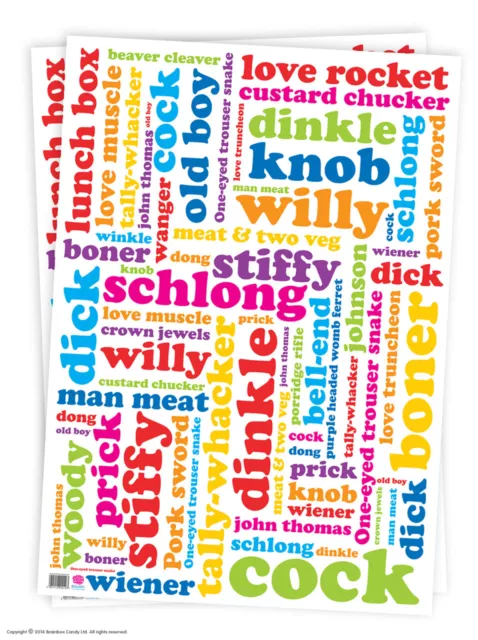 .Brainbox Candy funny rude Willy Words wrapping paper gift wrap sheets birthday