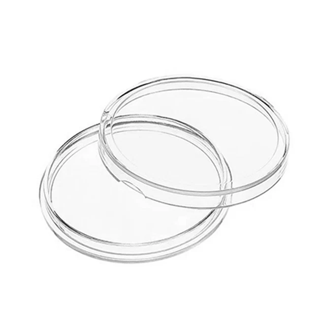 100 piezas Conveniente Caja de Almacenamiento de Monedas de Recuerdo Transparente Color Sólido