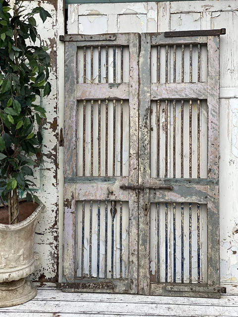Antique Indian Doors / Gates