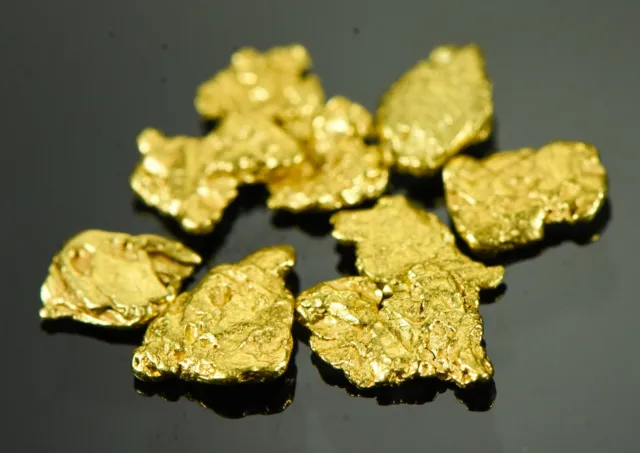 Alaskan Yukon BC Gold Rush Nuggets #6 Mesh 2 Grams of Fines