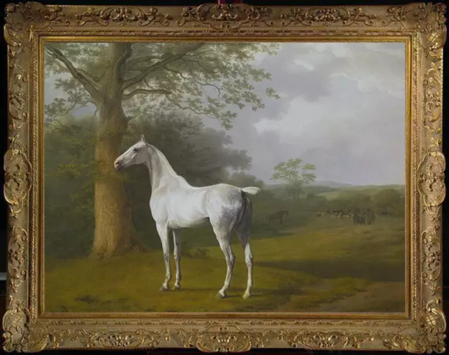 Old Master-Art Antique Oil Painting Animal Portrait white horse on canvas 30x40"