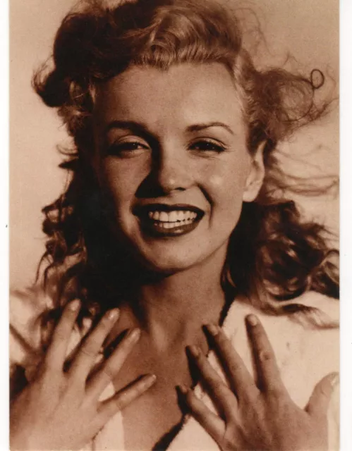 Marilyn Monroe Hollywood Actress Eyes Photo Postcard