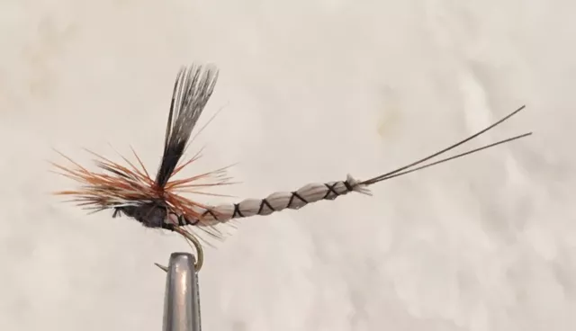 Adams Superfly - Dry Fly - Trout Fishing Flies - 12 Flies X Size #16