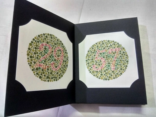 ISHIHARA TEST BOOK 38 Plaques Color Blindness Deficiency With Occluder ...