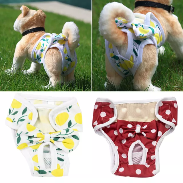 Mascota Fisiológico Pantalones Pañal Suministros Perro Bragas Menstrual Pant <