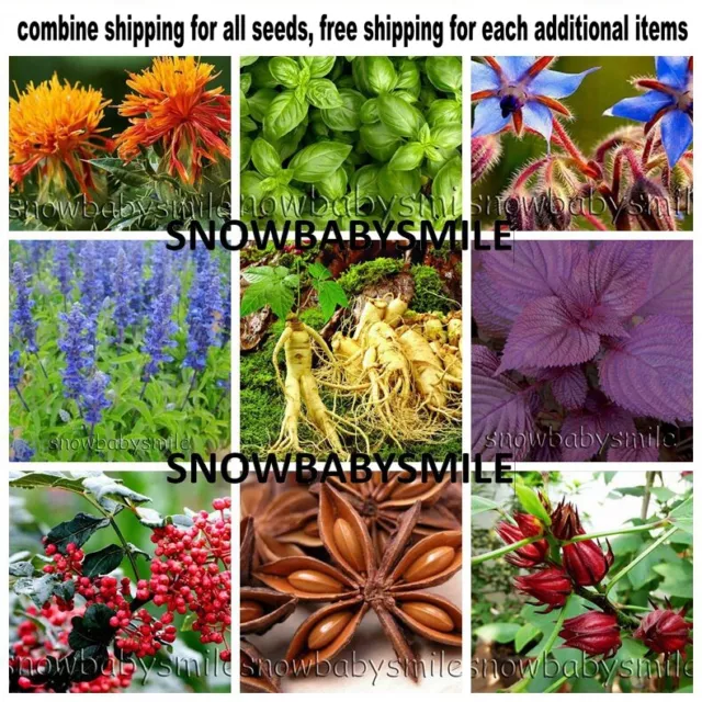 52 Kinds Herb Seeds Aromatic Spices Plant Vegetable Medicinal Heirloom NON-GMO