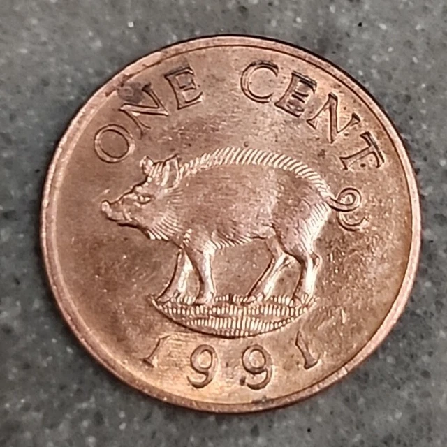 1991 BERMUDA 1 Cent, Small Penny, Queen Elizabeth II / Wild Boar