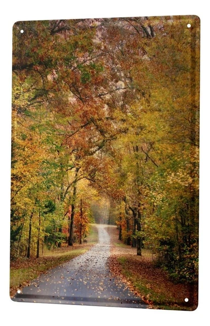 CARTELLO TARGA IN Metallo Epoca Auto G. Huber Pick Up Retrò EUR 14,99 - Foto 10