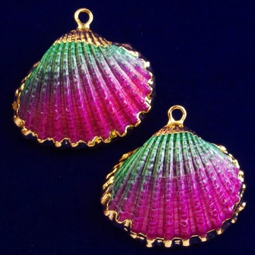 2Pcs Gold Edge Purple Green Scallop shell Pendant 27x25x3/25x25x3mm F47742