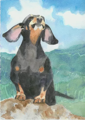 Giclee Print  Art Dog Watercolor Painting  Dachshund Pet Portrait