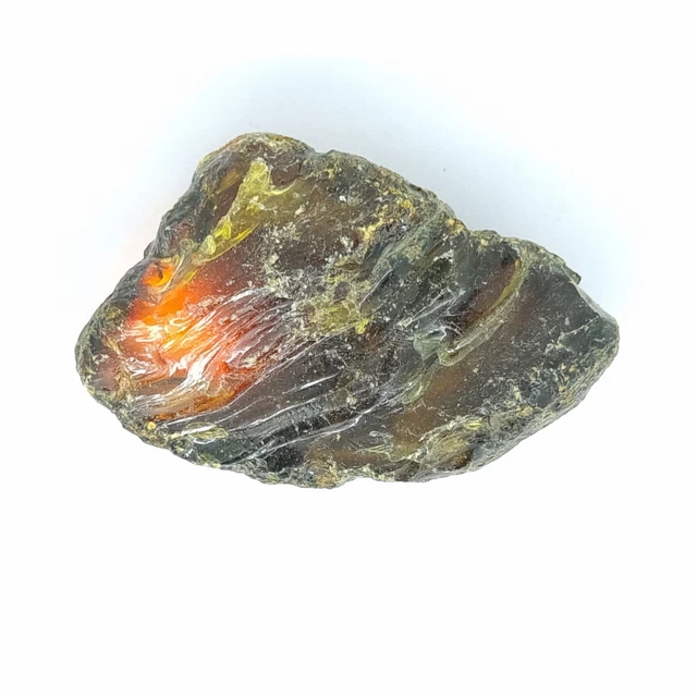 118.05 Ct Natural EGL Certified Baltic Amber Translucent rough Loose Gems
