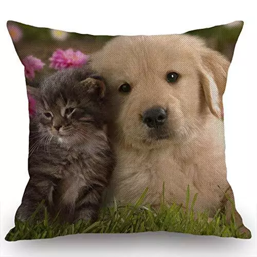 Animals Cat Kitten Dog Golden Retriever Puppy Farmhouse Pillow Cover Sw-004