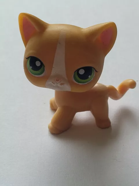 Lps # 72 Littlest Petshop Original Authentic Chat Europeen European Cat Hasbro