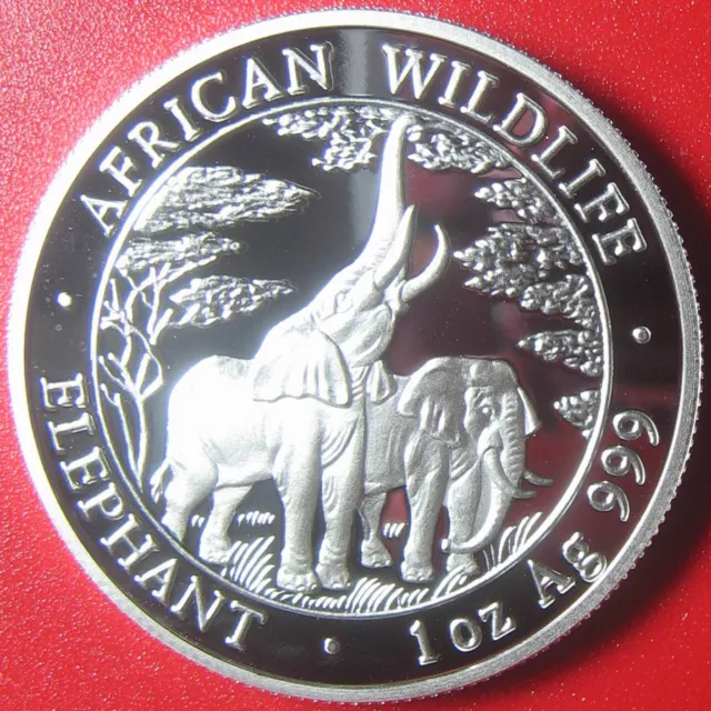 2003 ZAMBIA 5000 KWACHA 1 oz SILVER PROOF ELEPHANT AFRICAN WILDLIFE RARE COIN!