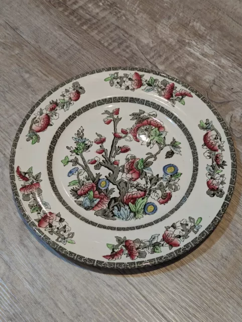 Vintage Indian Tree Johnson Bros England Side Plate 20cm Diameter