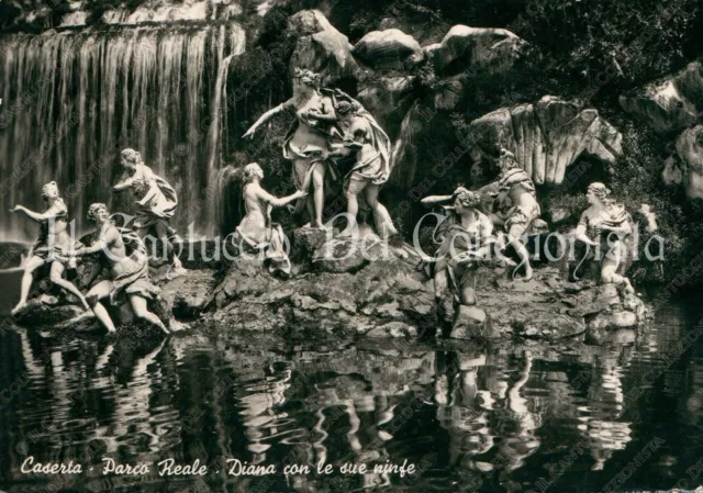1959 CASERTA Parco Reale Diana e le sue Ninfe foto cartolina