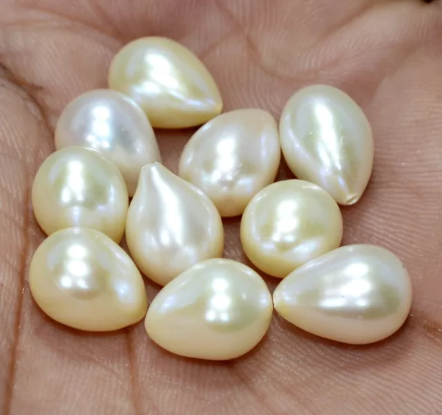Fresh Water Pearl Drops 11x9 mm Lot 10 Pcs Calibrated Loose Gemstones