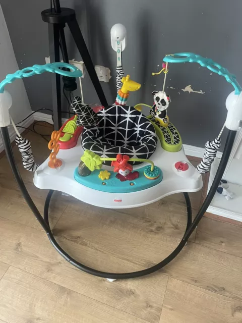 Fisher-Price Baby Bouncer Animal Jumperoo Activity Center With Music And Lights