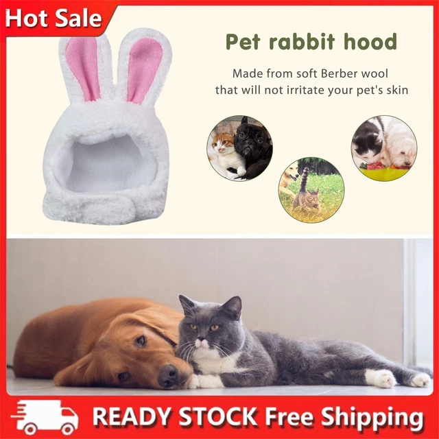 Orecchio di coniglio gatti cappello berbero pile cane cosplay cappelli regalo forniture per animali domestici