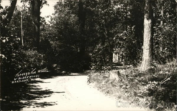 1948 RPPC Hartland,MI "Through The Woods" Waldenwoods Livingston County Ansco