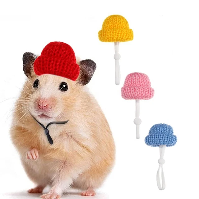 with Chin Strap Knitted Frog Cap Pet Headdress Guinea Pig Hat Hamster Hat