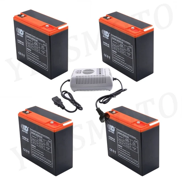 4 Pack( 48V) 12V 24Ah 6-DZM-20 6DZM20 Battery &Charger For Scooter ATV Quad Bike