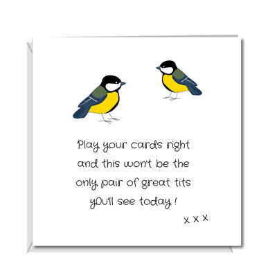 GREAT TITS BIRTHDAY Card Boyfriend Husband Rude Naughty Funny Adult