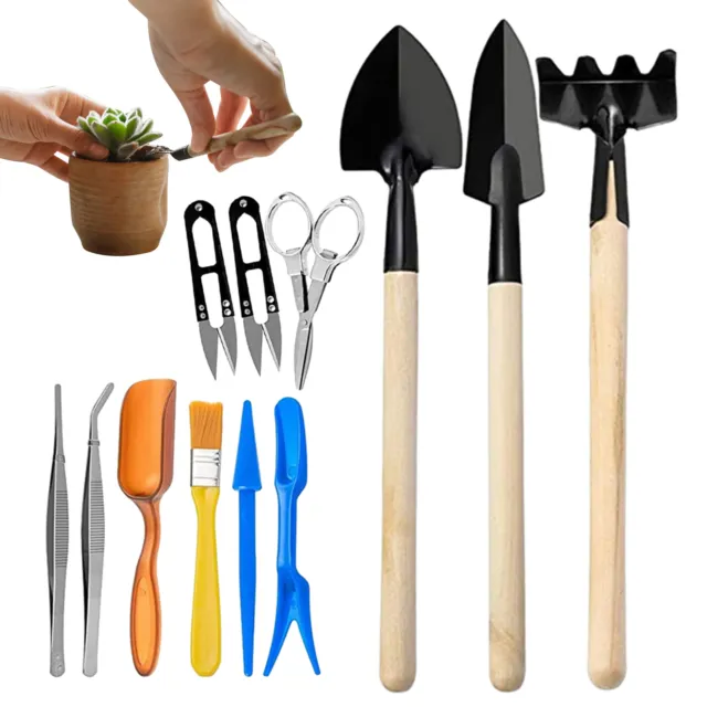 Sukkulenten-Gartenwerkzeug-Set, 12-teilig, Mini-Garten, Handumpflanzen, Sukkulen