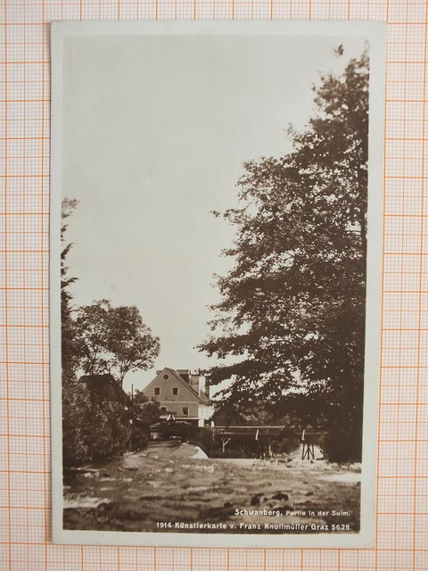 AK - Schwanberg - Partie in der Sulm - Steiermark - gel 1914   m2