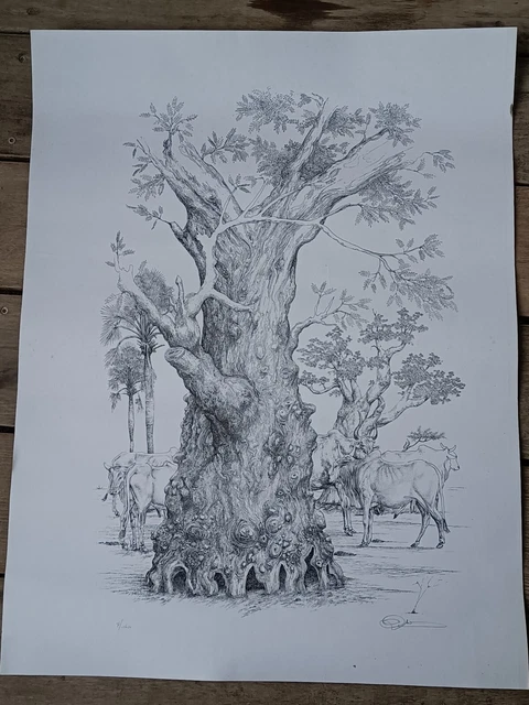 Lithographie Moderne Zébu et Baobab Côte d'ivoire Signature a Déchiffrer 130/160